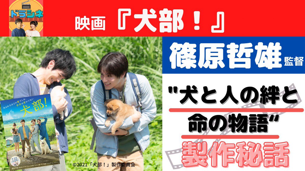 ドラマチック シネマチック 公式 ドラマと映画を深掘り Dra Cine Matic Twitter ドラマチック シネマチック 公式 ドラマと映画を深掘り Dra Cine Matic Twitter