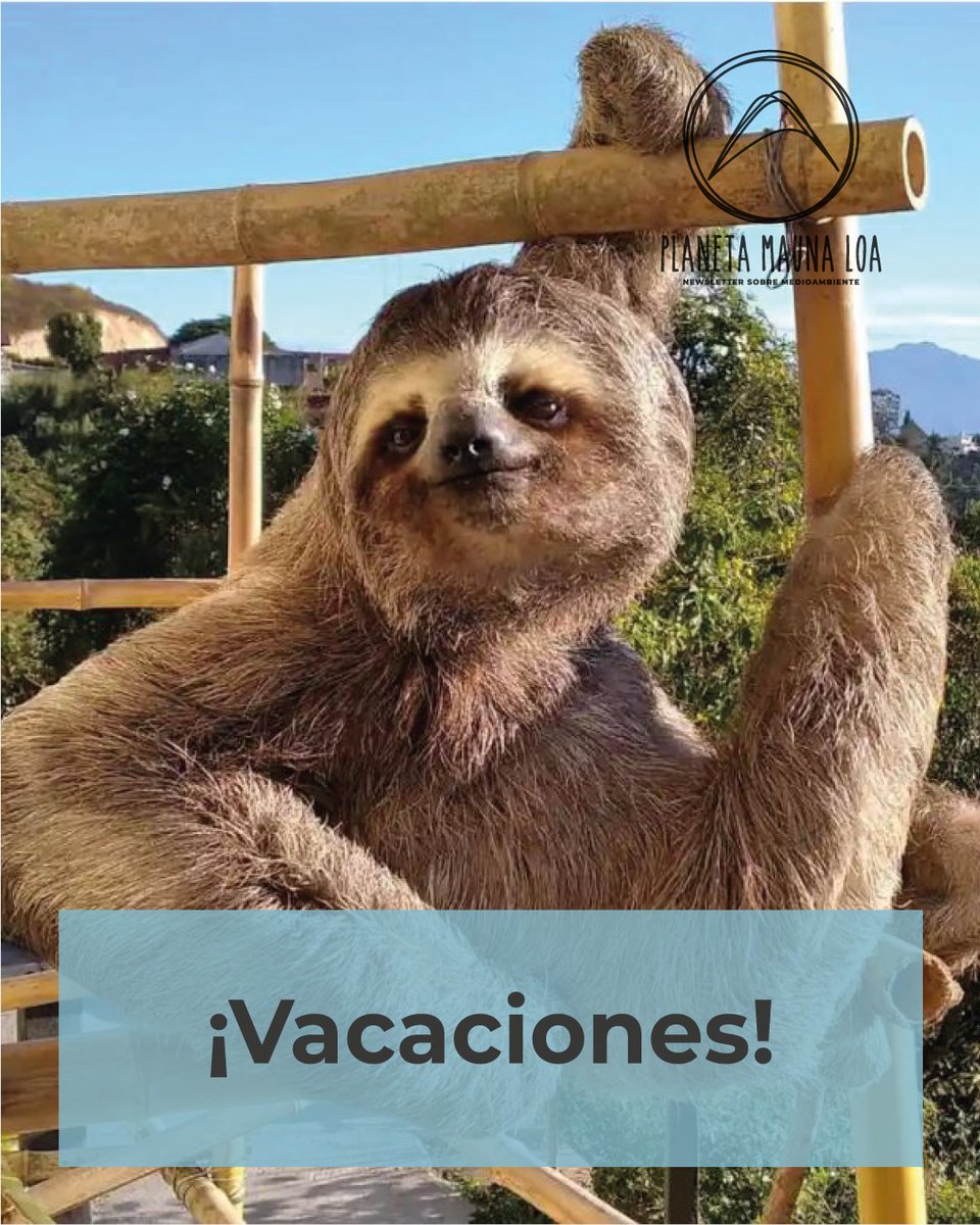 ¡Nos vamos de vacaciones!

Desconectamos hasta mediados de agosto, pero no queríamos marcharnos sin contaros la historia del perezoso Chuwie 💚⬇️