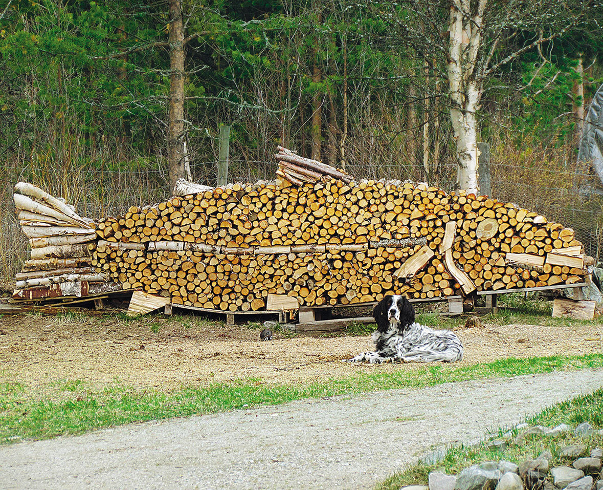 0112358aphorism's tweet photo. #couchpeloton the lumberjacks could have put a bit of effort in their log stacking.. #logart for #fieldart https://t.co/G2F9MJj4RX