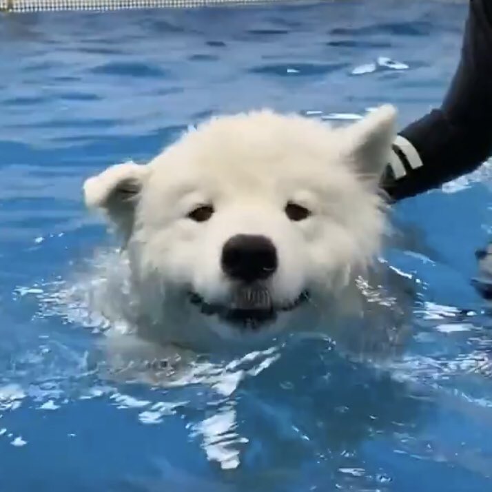 ฮี่ .◜◡◝