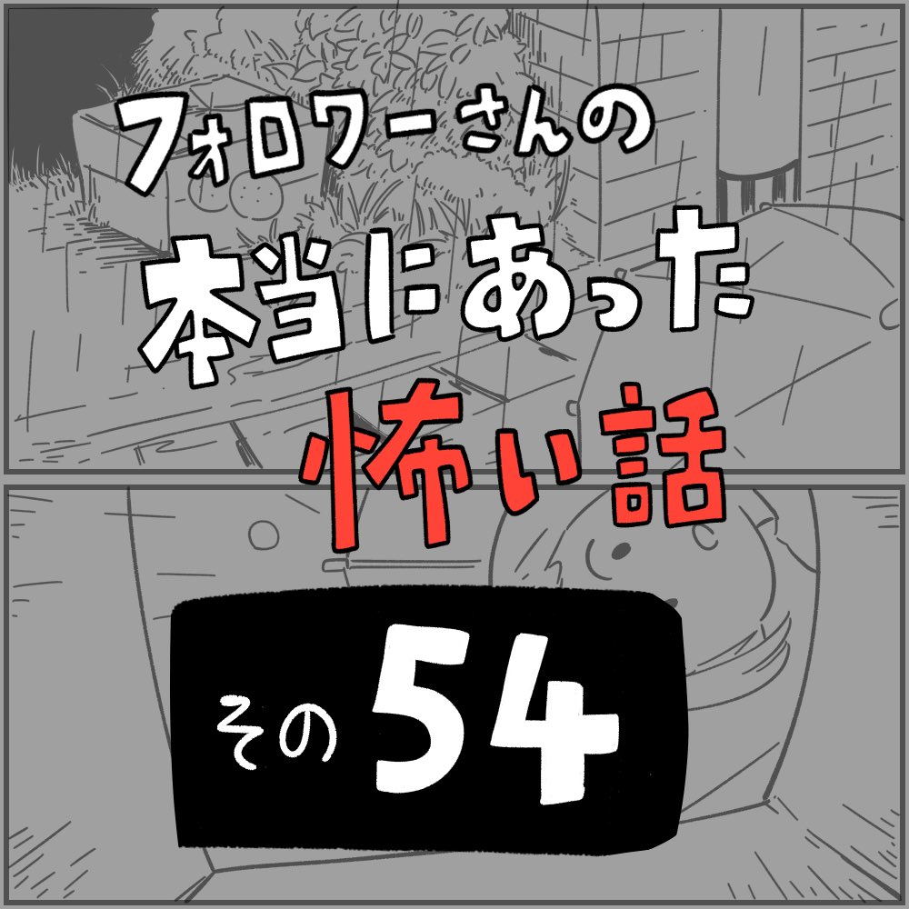 フォロワーさんの本当にあった怖い話
その54「黒猫とラブ」
1/3 