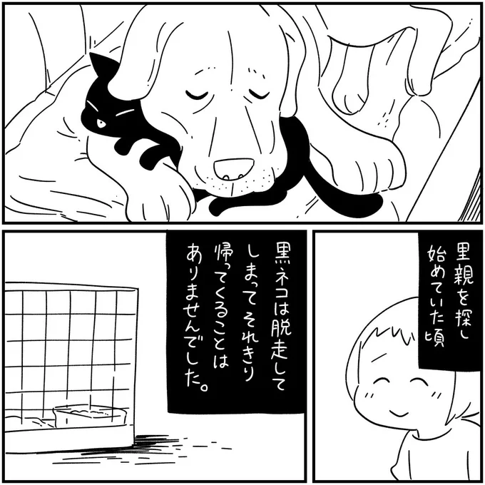 2/3 