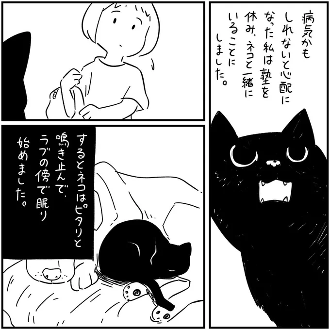 3/3 