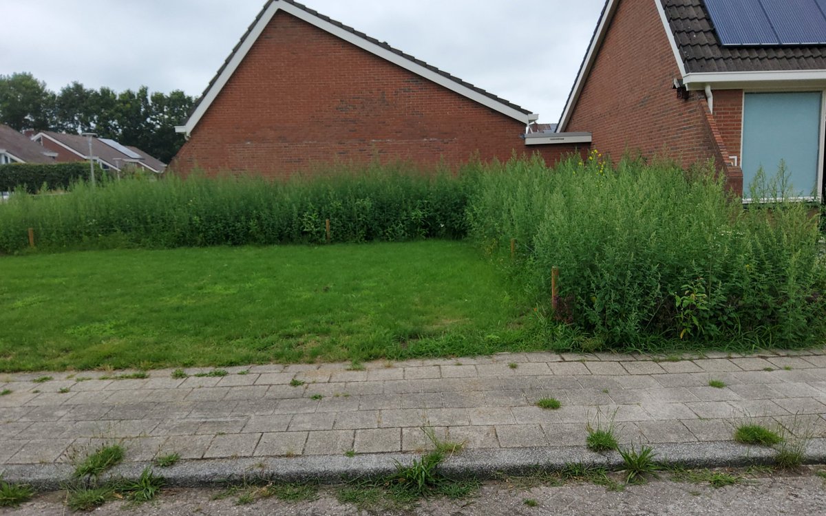 J. v't Ooster tweet media