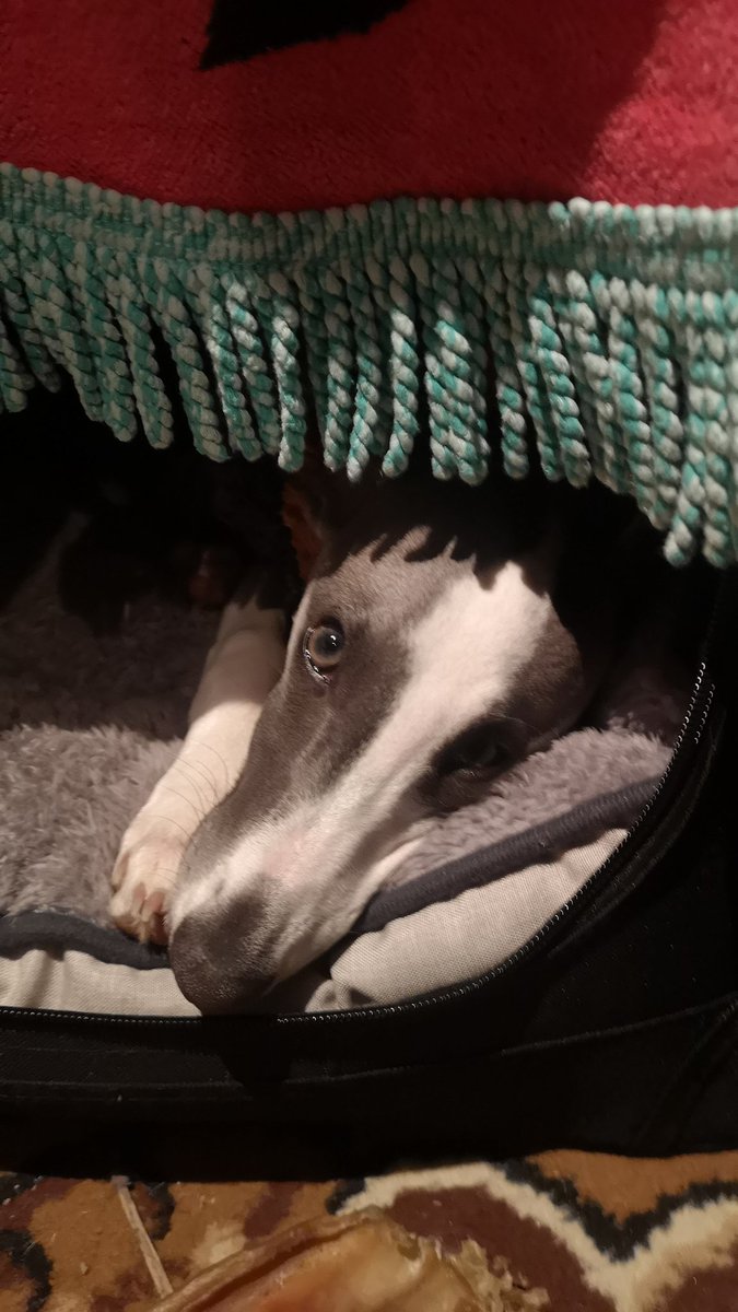 Day 1 - wild and windy! Not sure the sidekick will last the month...
<a href="/Mobvoi_Official/">Mobvoi_Official</a>