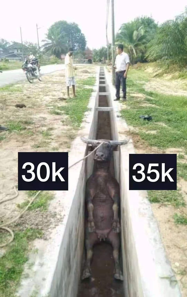 $BTC 👀👀
🐂？🐻？
<a href="/cz_binance/">CZ 🔶 BNB</a> <a href="/binance/">Binance</a>