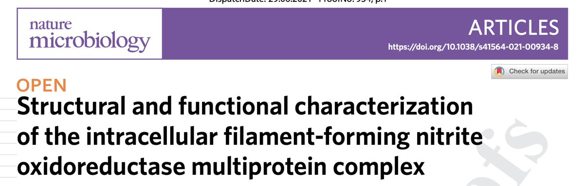 Mike Jetten🟥 tweet media