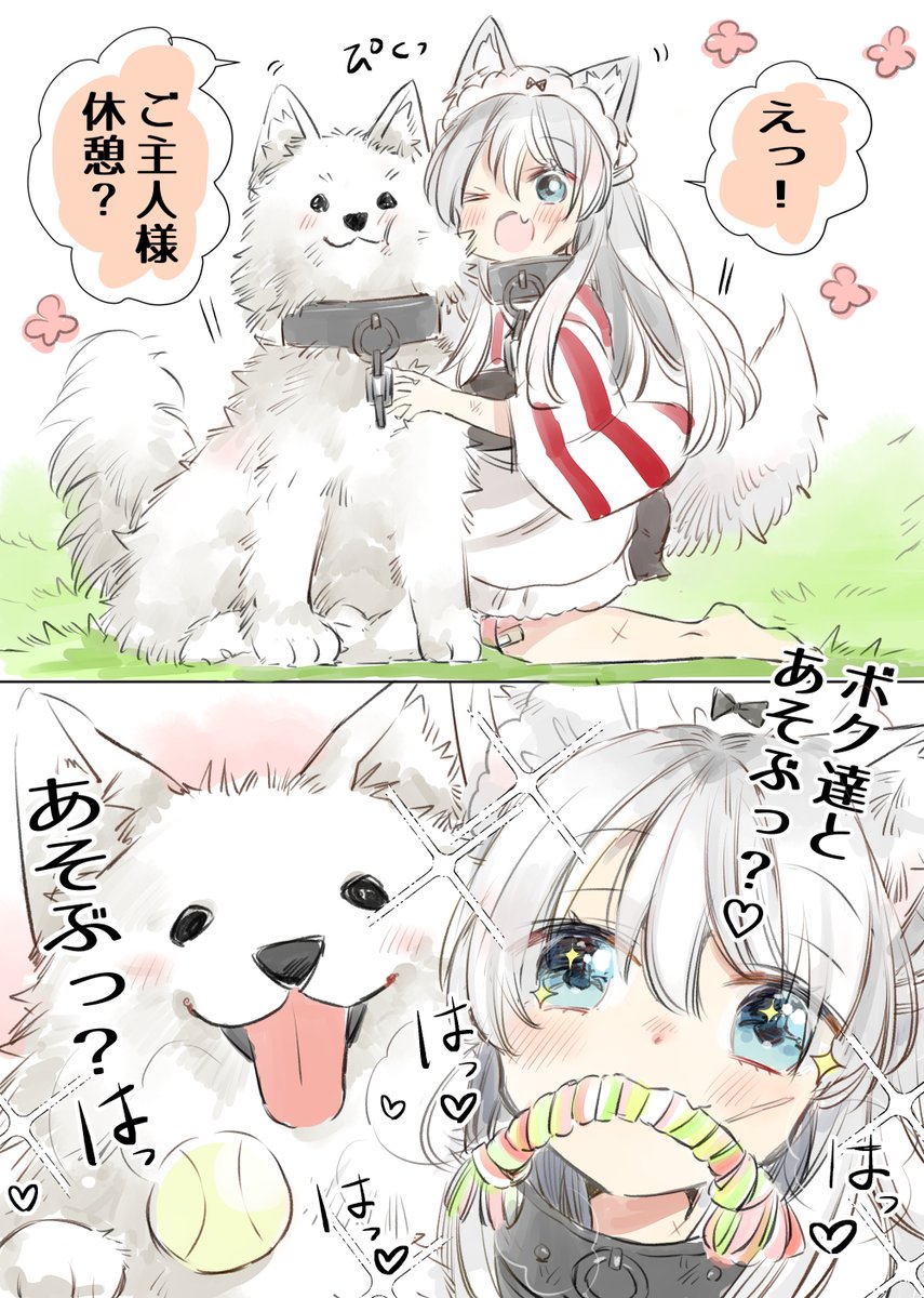 「ご主人様っ♡あそんでっあそんでっ♡」
ご主人様大好き二匹🐶
サモエドはいいぞ 