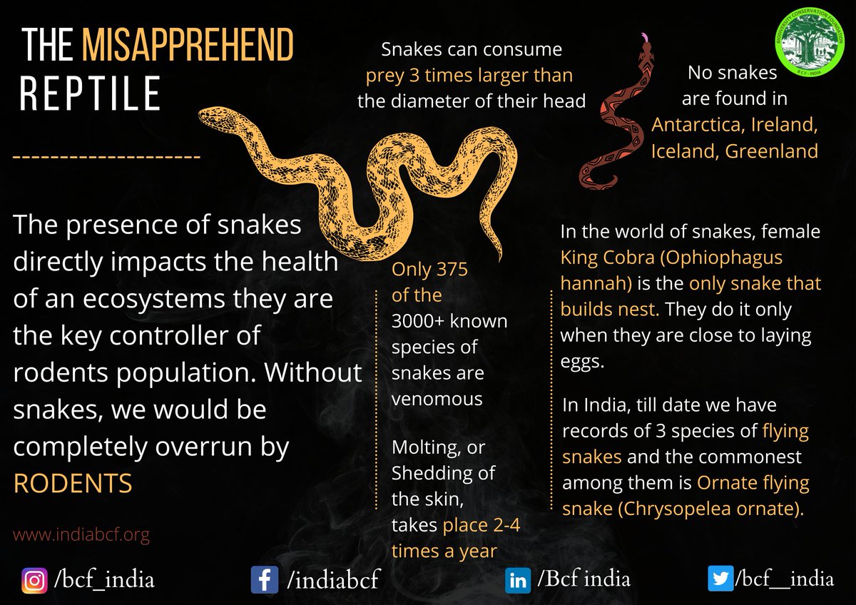 bcf__India's tweet photo. #Worldsnakeday

Snakes are the wonderful creatures in the world. Let's learn and conserve this ecological treasure

https://t.co/14K3RgM2CU

#climatechange #conservation #biodiversity #wildlife #nature #amazonrainforest #snakes #awarness #reptiles #india #2021year #COVID19 https://t.co/cdeX6sB3cE
