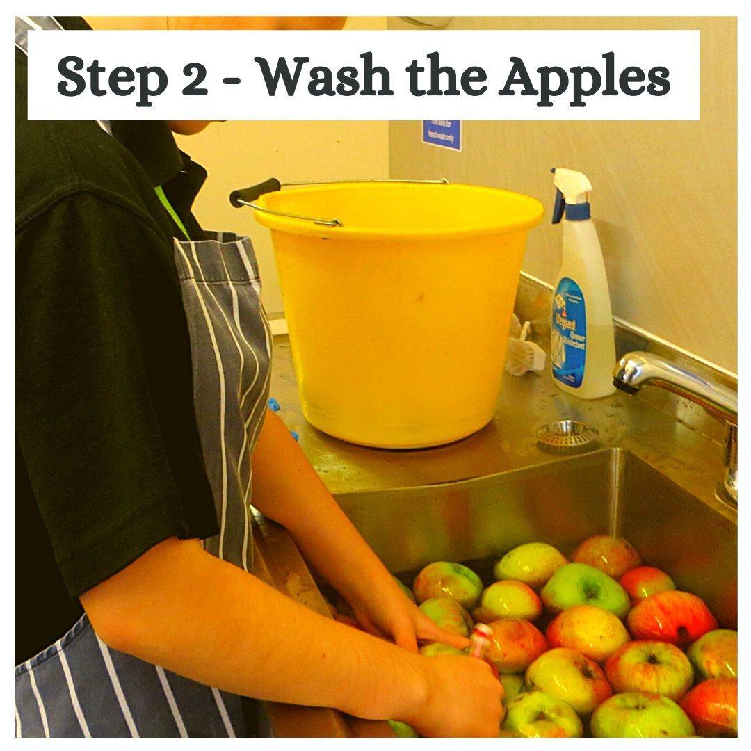 AppleWiltscoll's tweet image. Once our apples have been sorted we have to make sure they are all washed and clean ready to be turned into juice. What do you think is our third step? #wiltscoll #studenteats #appleproject #trowbridge #sustainable #SEN #wiltshire