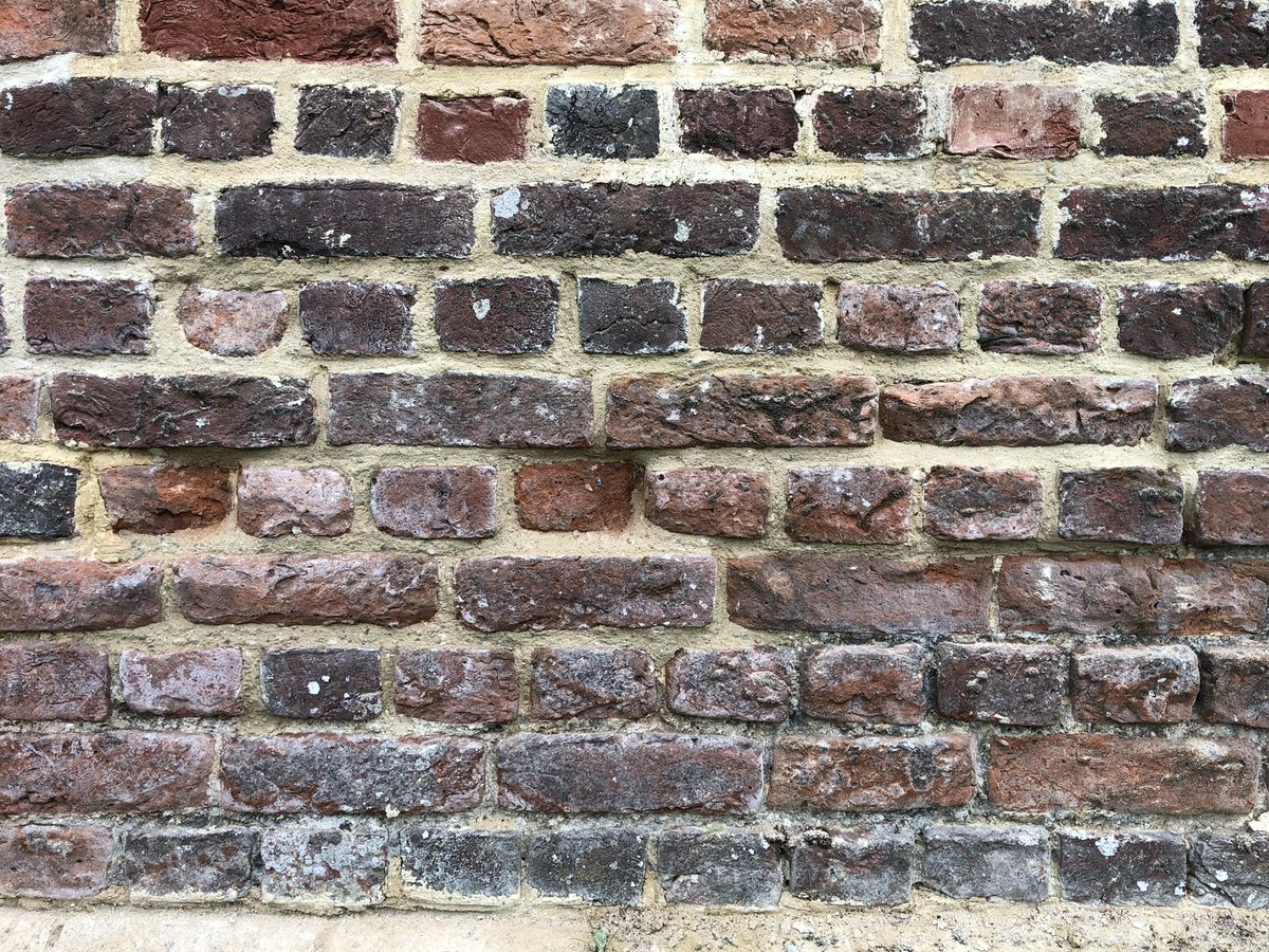 RachelConserves's tweet photo. Turns out I’ve found a happy place in repairing historic brick walls! Can’t wait to have another go. Now who has a wall I can practice on? #conservation #traditionalskills @SPAB1877 https://t.co/GkeeZXsfU6