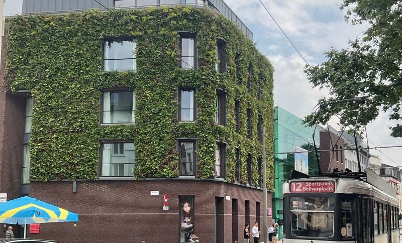 When the city of Antwerp realised the necessity of more greenery within the city, they started thinking vertically! Since 2018, the Permeke library invites people in with a growing green facade. #SemperGreenwall #livingwall #natureinclusive