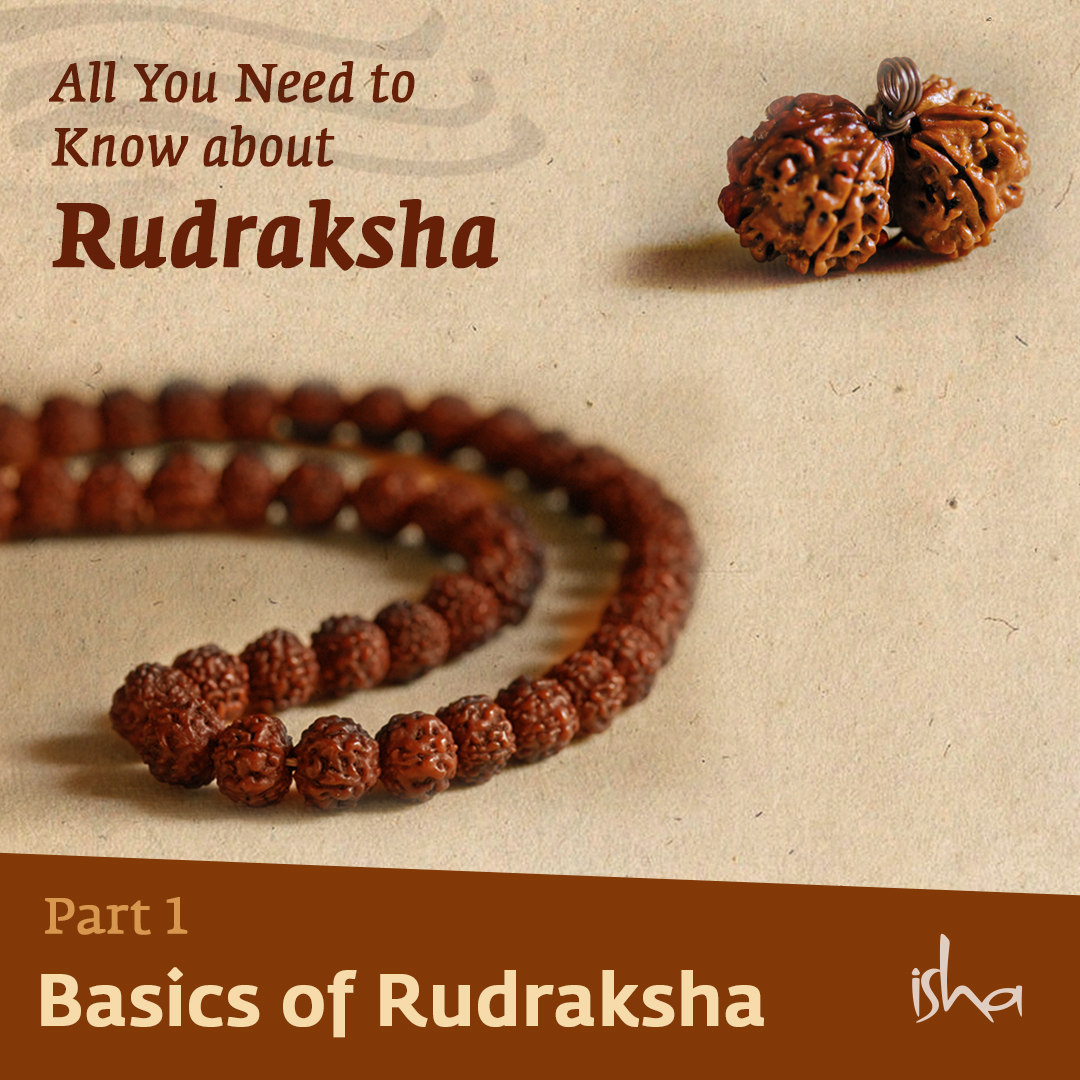Isha Foundation on Twitter: quot What is a Rudraksha? What are the benefits