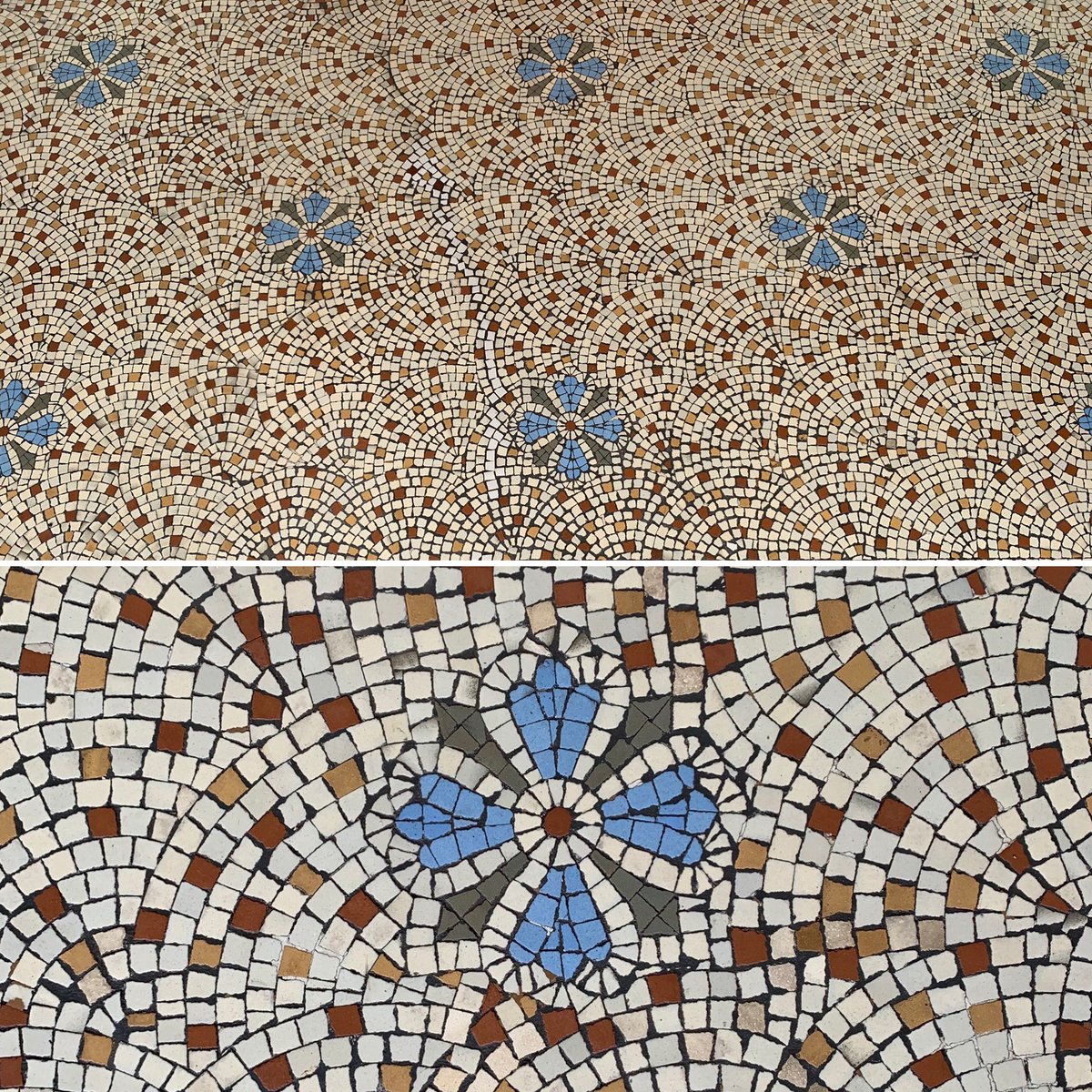 EdenArchCon's tweet photo. Mosaic conservation at its best https://t.co/b5JlHz9UhW