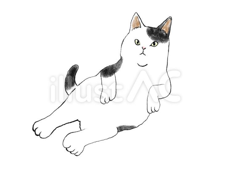 みきたにし 描いたり弾いたりする人 今日もへんてこなポーズの猫を投稿し無事に掲載されました よかったらダウンロードして遊んでください 猫好きさんと繋がりたい イラスト好きさんと繋がりたい ストックイラスト フリー素材みきたにし ねこ