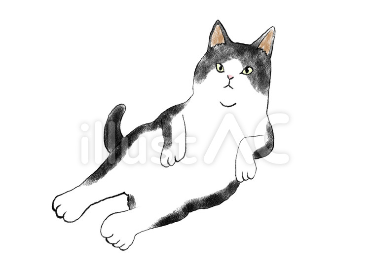 みきたにし 描いたり弾いたりする人 今日もへんてこなポーズの猫を投稿し無事に掲載されました よかったらダウンロードして遊んでください 猫好きさんと繋がりたい イラスト好きさんと繋がりたい ストックイラスト フリー素材みきたにし ねこ