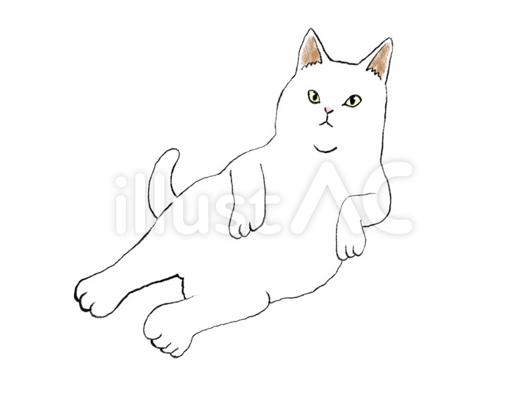 みきたにし 描いたり弾いたりする人 今日もへんてこなポーズの猫を投稿し無事に掲載されました よかったらダウンロードして遊んでください 猫好きさんと繋がりたい イラスト好きさんと繋がりたい ストックイラスト フリー素材みきたにし ねこ