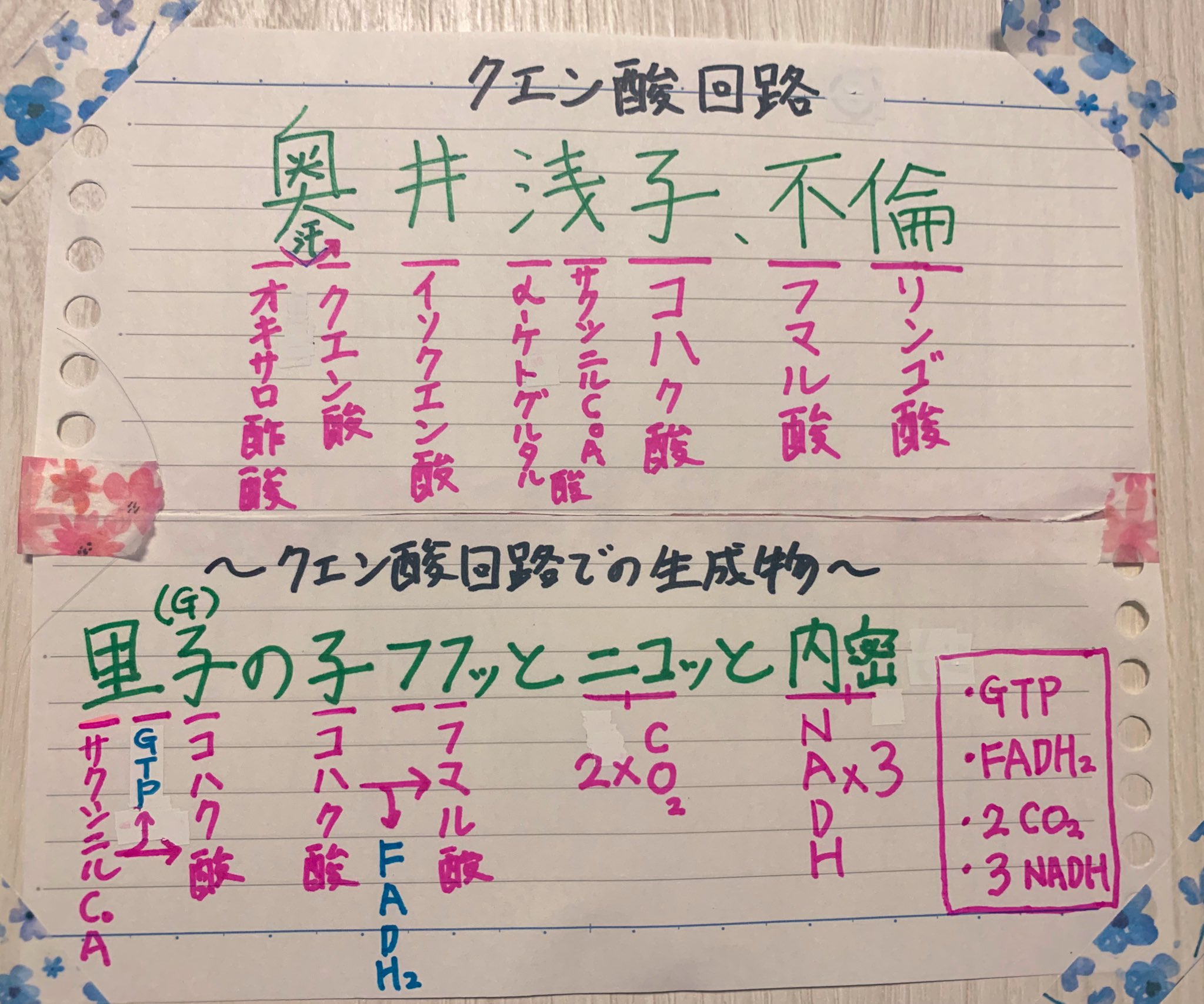 薬剤師国家試験　ゴロ集(紙冊子) 薬学ゴロ集【完全版】【紙ver】薬剤師国家試験