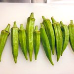 オクラのピクルスがかなりイケる!ピクルス用のお酢で一晩漬ければおつまみにも良い爽やかな一品に!