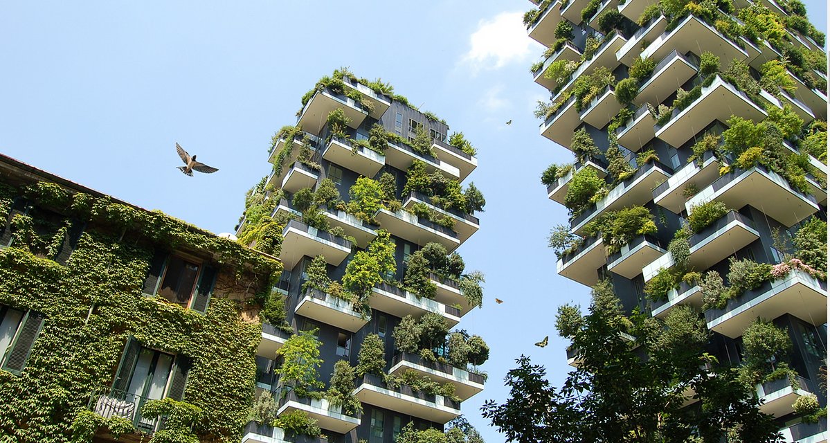 knowledgEnabler's tweet photo. What if we would tap into this natural intelligence that stood the test of time to fast track #SusstainableInnovation so that we can develop new #capabilities, build #agile #creative & #responsible organisations and #healthy #resilient cities and landscapes?
#NatureCreativity https://t.co/SKYQ00hQno
