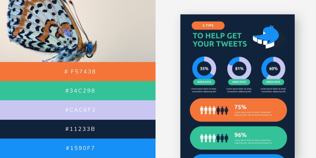 VismeApp's tweet image. What does a butterfly and an infographic have in common?
COLORS!

Try using nature as an inspiration for your infographic designs.

#colorpalette #colordesigns #naturecolors