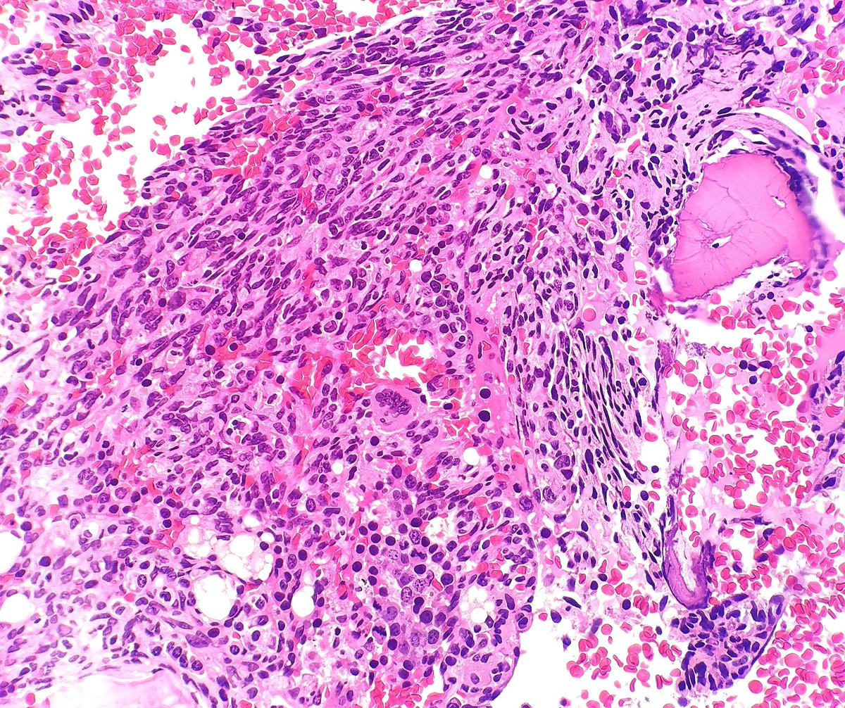 Mingfei Yan tweet media