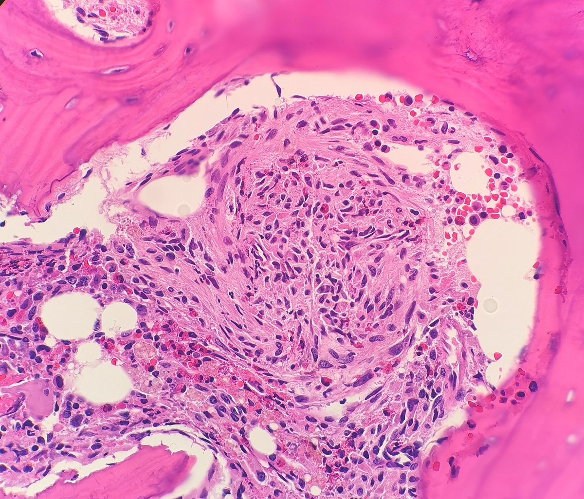 Mingfei Yan tweet media