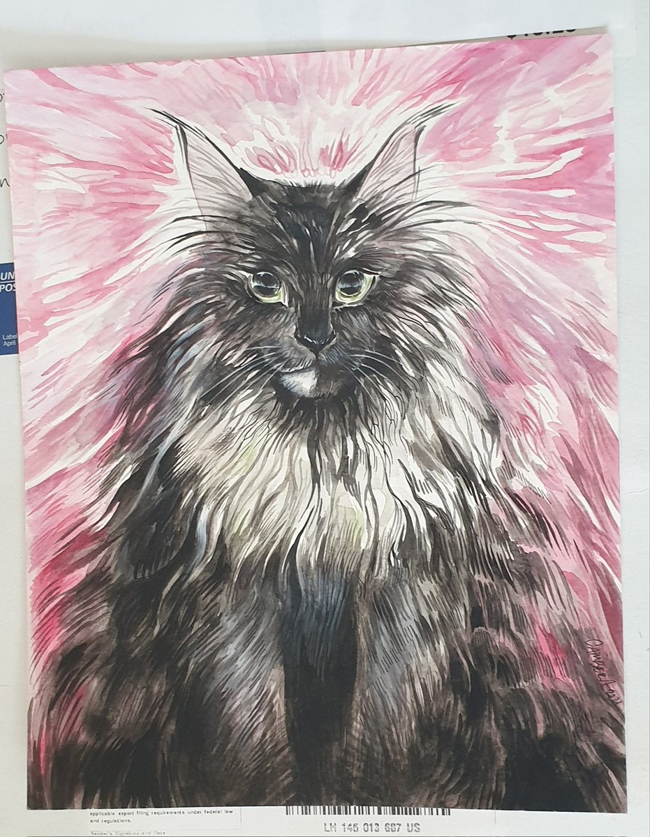 Thank-you, <a href="/camber2_/">Camber</a> !