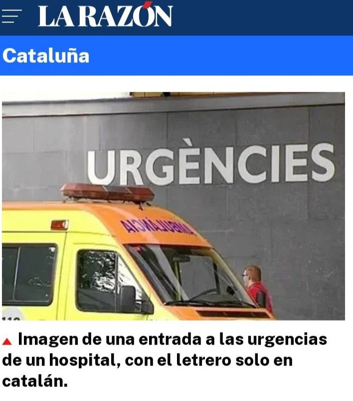 VIQUI ||☆|| tweet media