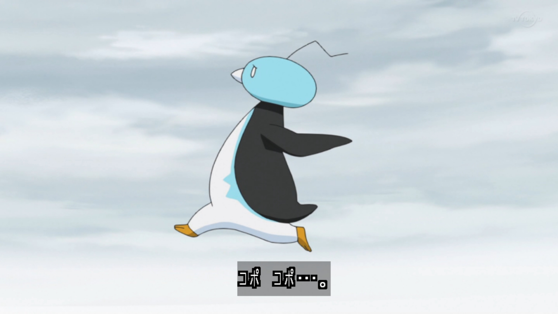 Zexy なんか不遇 アニポケ Pokemon Pokemon73 T Co 9thmkocwkt Twitter