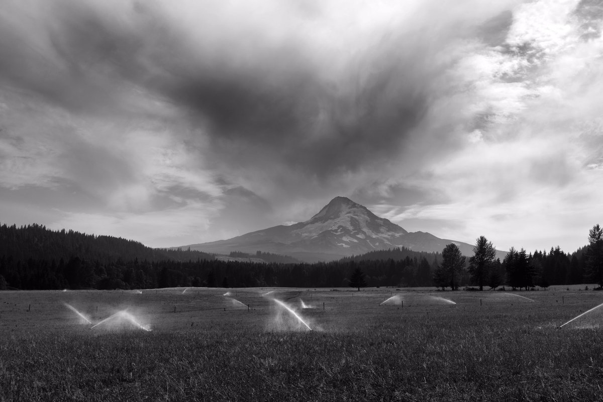 quaygang's tweet photo. Mt. Hood from Parkdale, Oregon, August 2018
©2018 Gary L. Quay
Parkdale was one of my go to places when I lived in the Columbia Gorge.
#mthood #oregonexplored #pacificnorthwest #garyquay #oregon #onlyinoregon #nikon #mounthood https://t.co/jfsbrZ3uo9