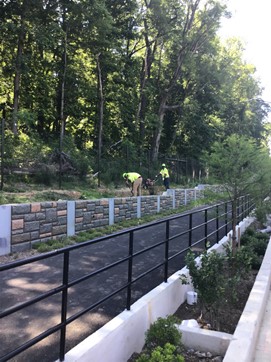 Environmentally conscientious, the #295MalcolmX Project has biodiverse plants and greenery within the woodland, meadow, and bioretention transition zones. #SustainableDC #DDOTDelivers