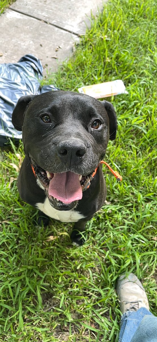 Look at my baby dog 😍