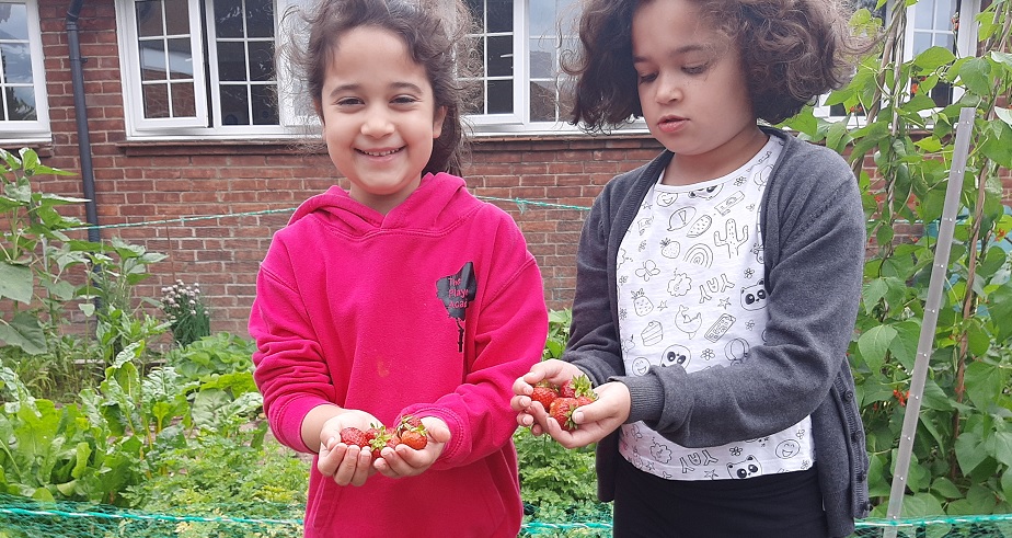 📢Is School Fruit and Veg at risk AGAIN? Coalition write to <a href="/DHSCgovuk/">Department of Health and Social Care</a> and <a href="/educationgovuk/">Department for Education</a> ministers calling for urgent clarification on #sfvs status after Government failed to sign off the scheme for the new academic year ahead. sustainweb.org/news/jul21-sfv…