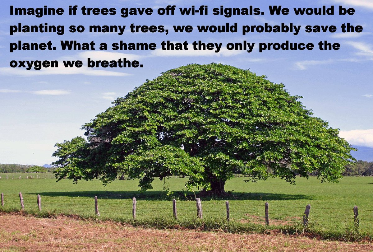 John Helvin (@john_helvin) on Twitter photo 