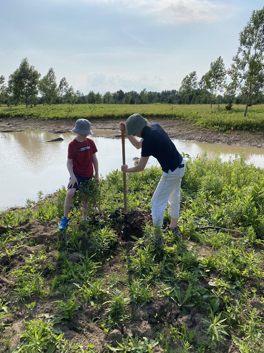 KCETrust's tweet image. @KCETrust helped to plant over 100 shrubs at the newly created wetlands @KettleCreekCA Administration Centre this week. #wetlands #lovemywatershed