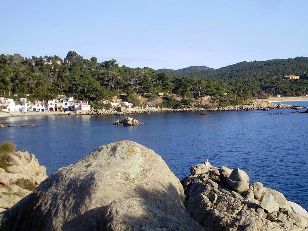 Rob Dobson tweet media