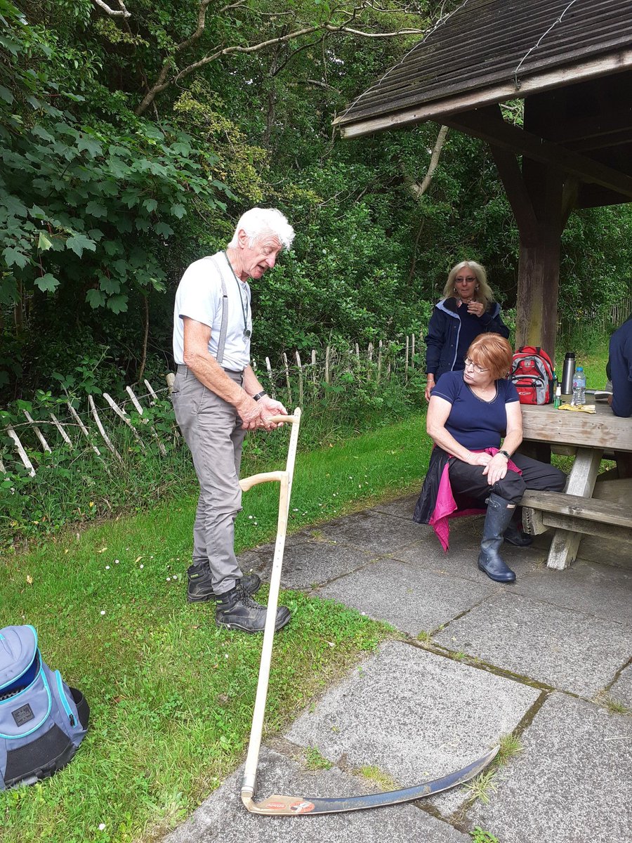We had a busy day at Burntollet Wood last Saturday with our @WoodlandTrust volunteers recording the many moths found in our moth traps for @MothNight and David Thompson from Wild Ireland providing training on wildflower ID and management.#FaughanValley @HeritageFundNI @BCNI_