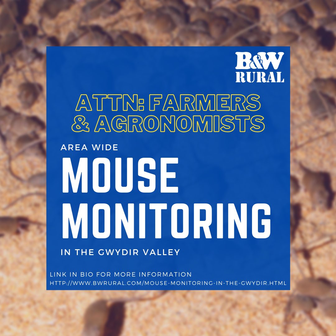 B&W Rural tweet media