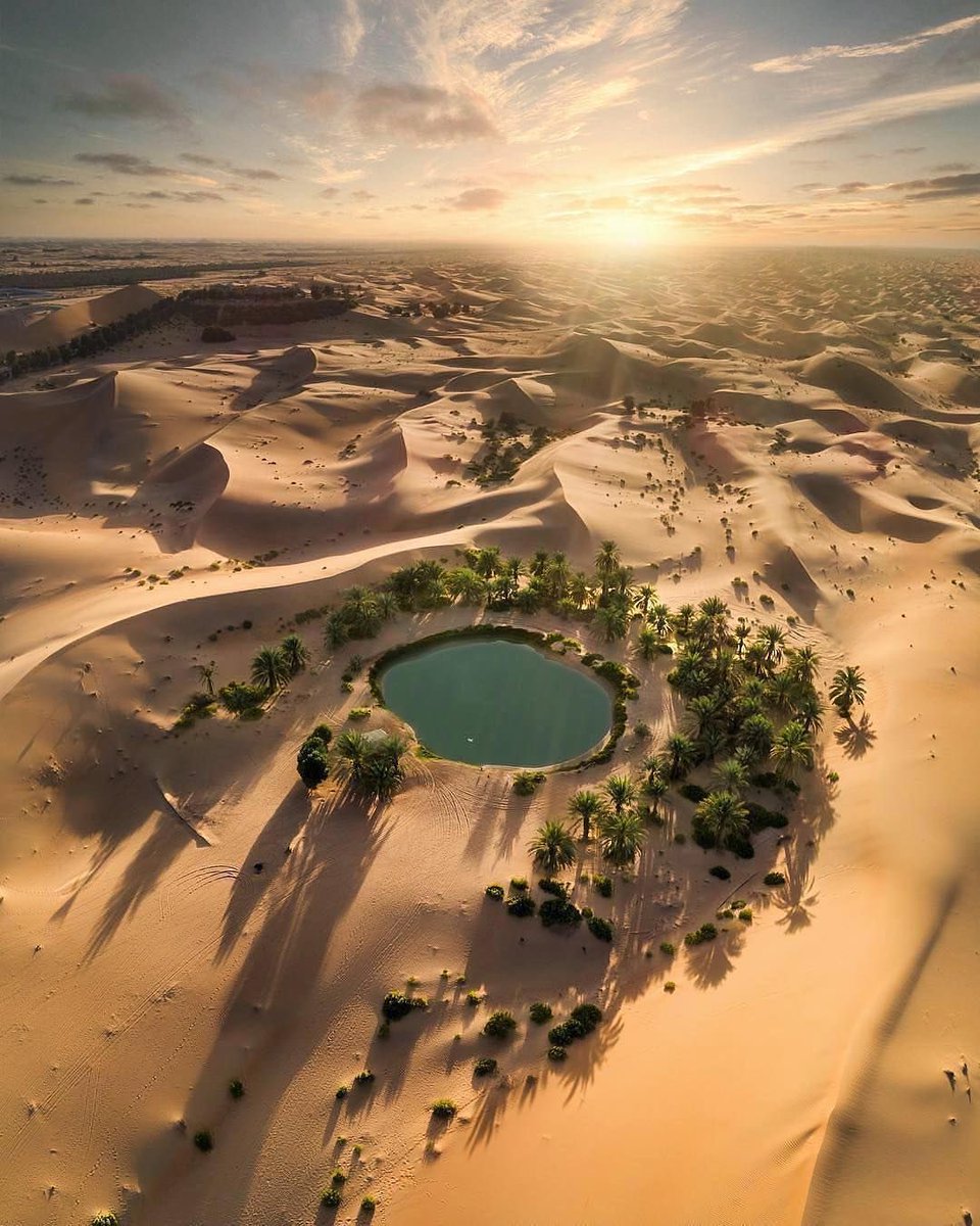 Arteymas_'s tweet photo. Así es como se ve un Oasis en el desierto https://t.co/vha2DlcXZU
