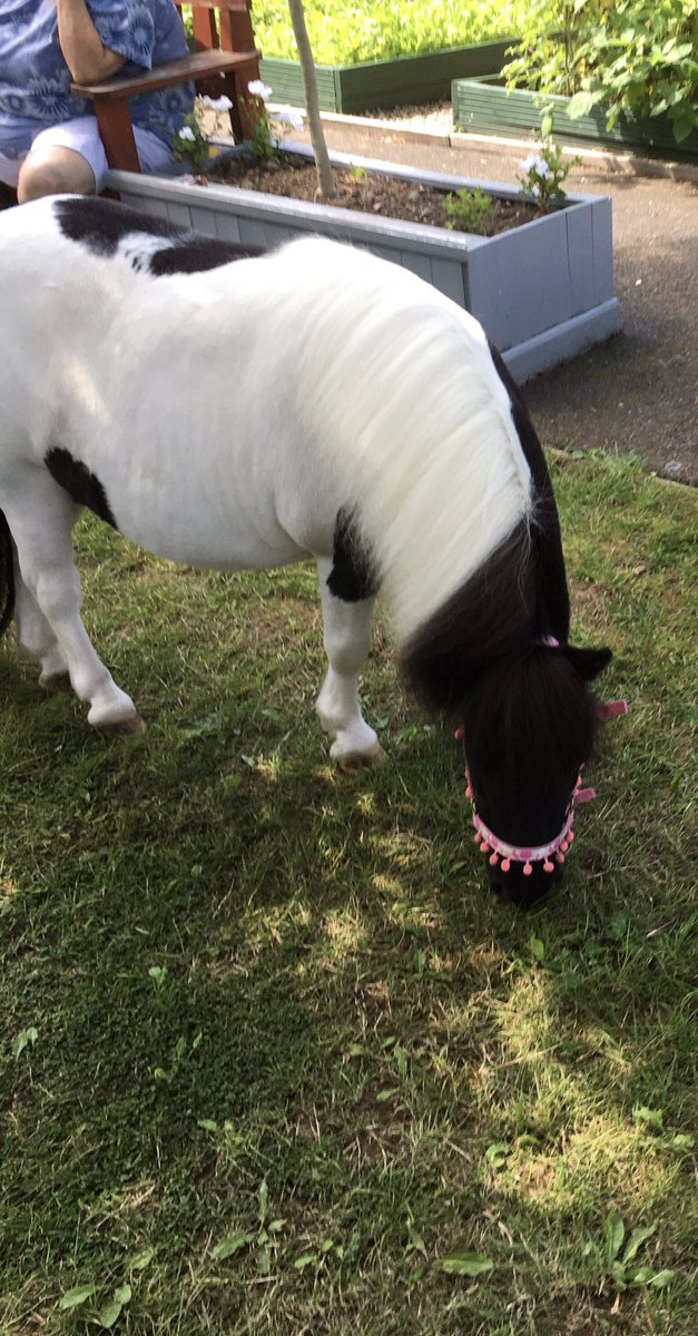 Liz Gardner tweet media