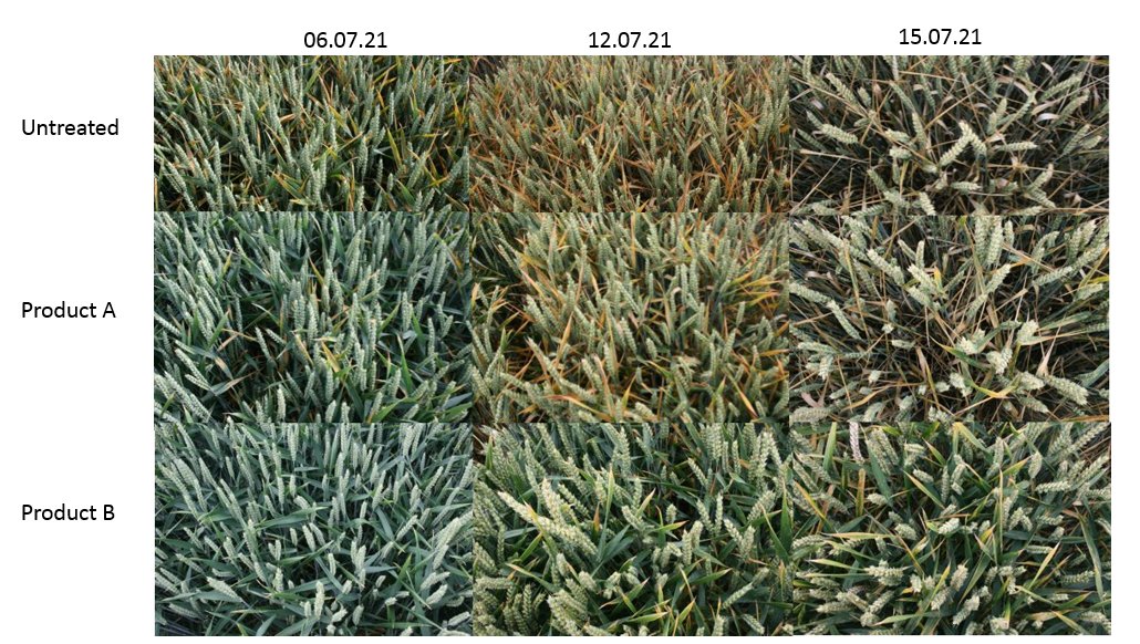 Mathew Barnes tweet media