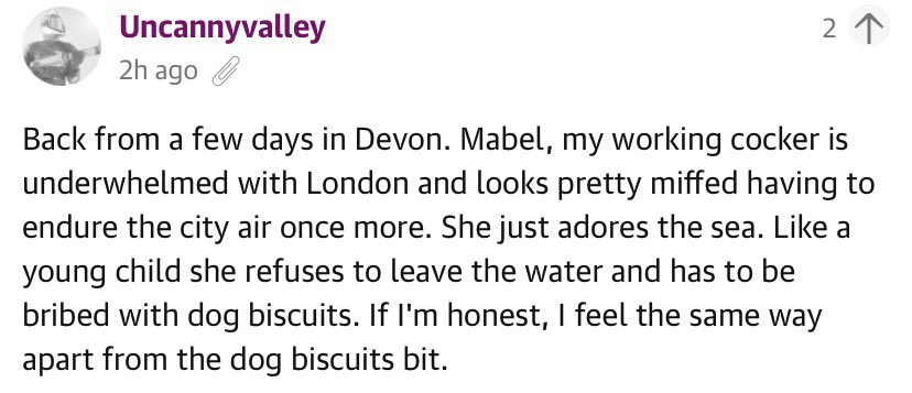 Mabel just adores the sea.