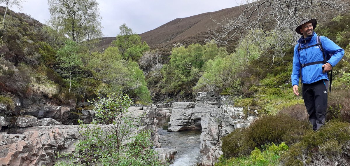 Please enjoy some photos taken during a bit of fieldwork in stunning Glen Feshie.