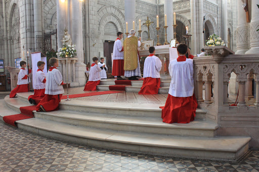 RorateCaeli's tweet photo. #SummorumPontificum
Francis Will Die, the Latin Mass Will Live Forever https://t.co/HhHowKdWuF