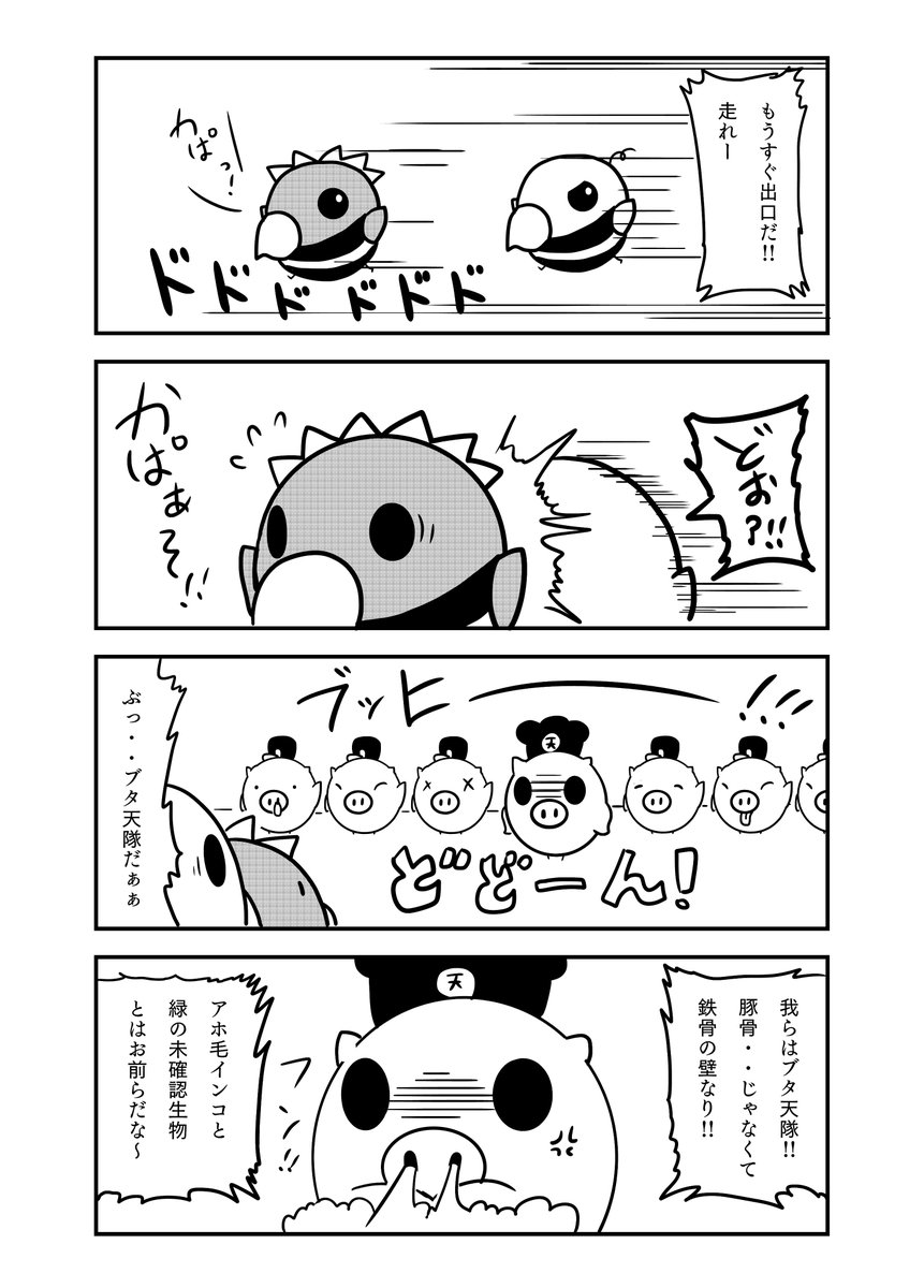 『とあるインコの日々』 30話 

#インコ #4コマ漫画 #漫画が読めるハッシュタグ 
#創作漫画  #鳥 