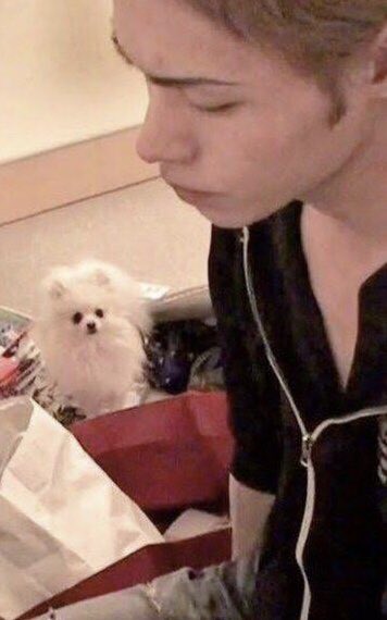 秋麗 Kat Tun上田竜也担 Eternal 龍組 ハニコン11 2発売 Twitter पर 左 19年 右 16年 T Co Oot3e2dfrn Twitter 秋麗 Kat Tun上田竜也担 Eternal 龍組 ハニコン11 2発売 Twitter पर 左 19年 右 16年 T Co Oot3e2dfrn Twitter