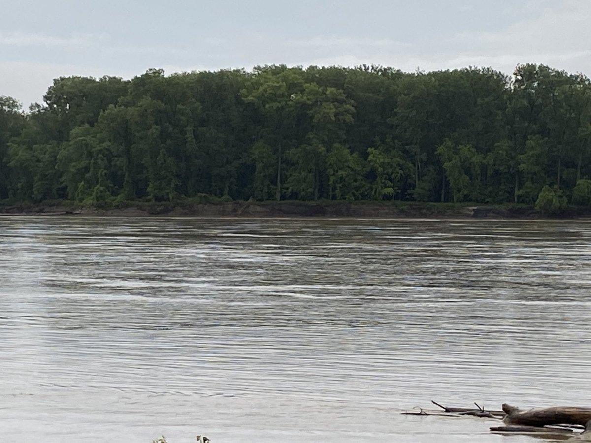 AMSidwell's tweet photo. The #MIGHTYMISSOURI…..flowing strong in #stcharles after steady rain overnight #tisl @ksdknews @WthrmnSlaughter https://t.co/NIPa4b70ib