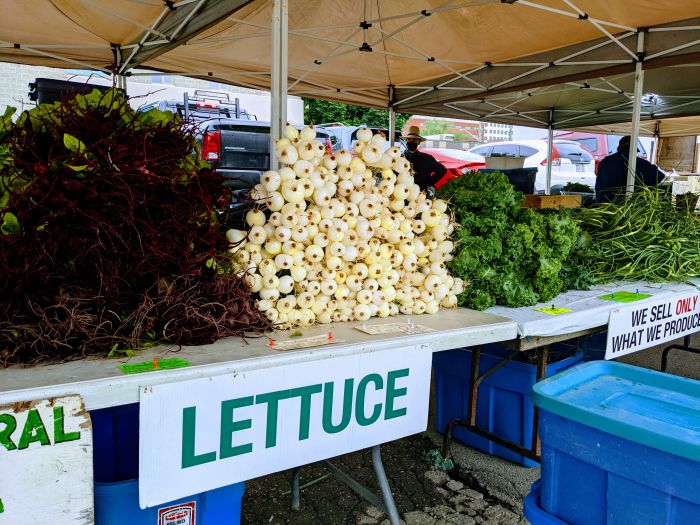 Lettuce tell you about the farm fresh, local produce you will find at the market tomorrow...🤗🥗
#SupportFredLocal #ExploreFredericton #ExploreCanada #ExploreNB #FrederictonFarmersMarket #BuyAchetezNB #MarketEats #LocalFood