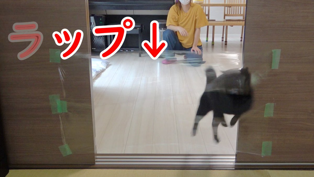 さくちゃんねる E1ffknzla7uonkn Twitter